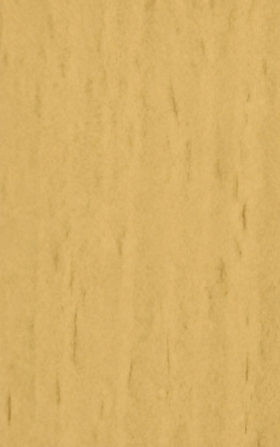 Vosges Beech PM-7102 laminate surface